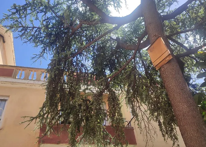 Casa Gialloblu